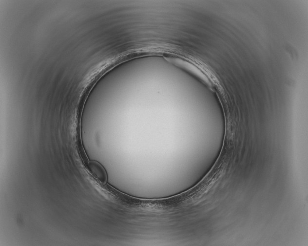 X0000112890437200909111507