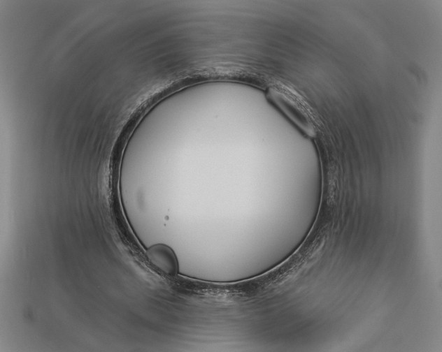 X0000112890439200909111507