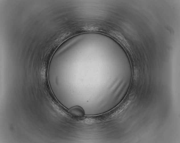 X0000112890441200909111507