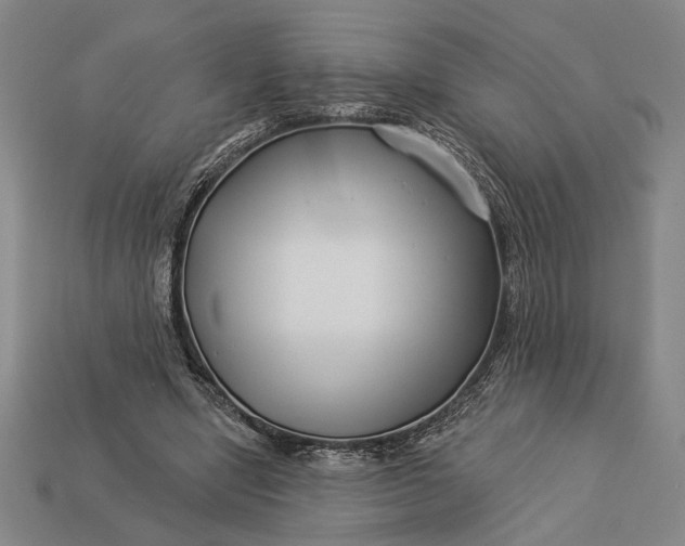 X0000112890442200909111507