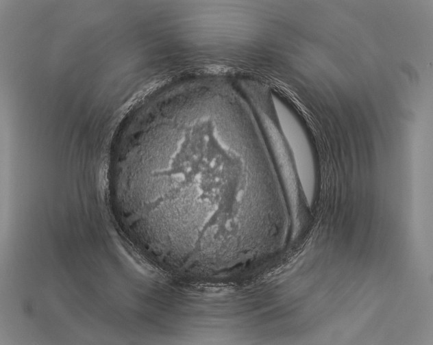 X0000112890443200909111507