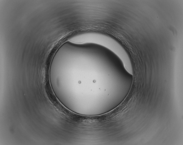 X0000112890444200909111507