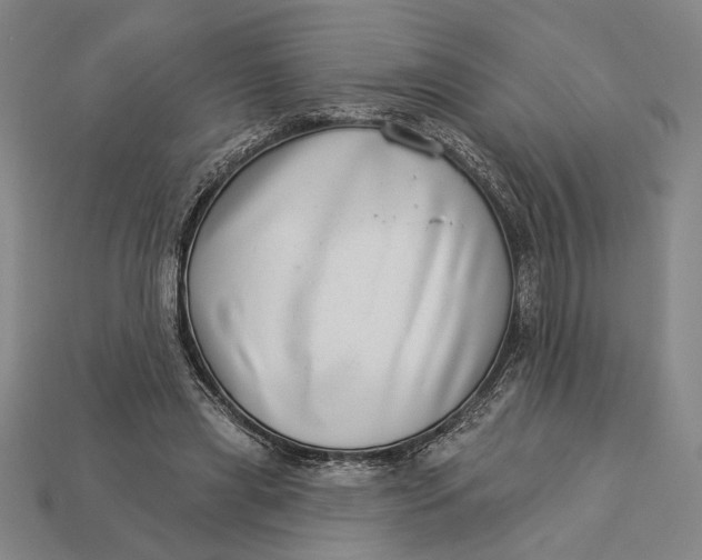 X0000112890445200909111507