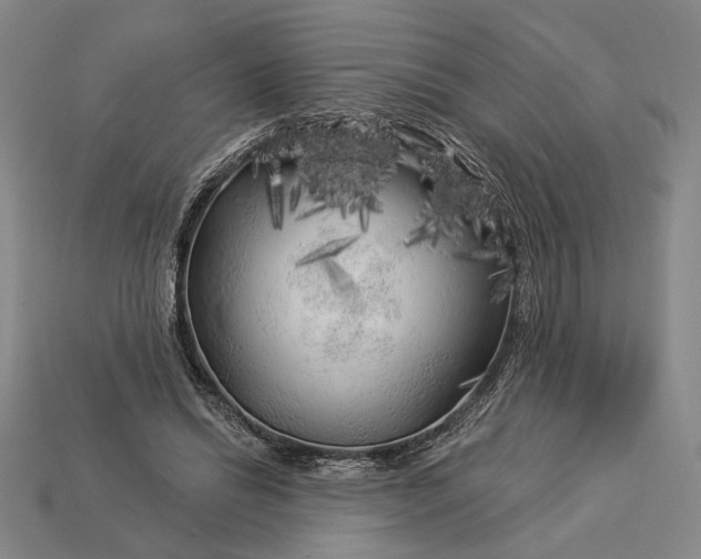 X0000112890446200909111507