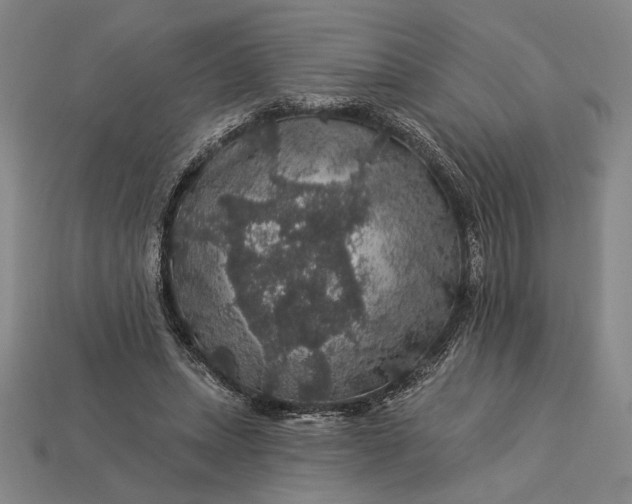X0000112890447200909111507