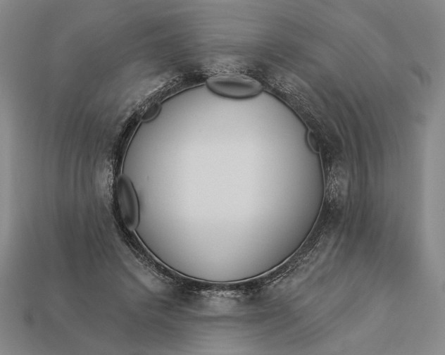 X0000112890448200909111507