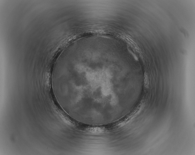 X0000112890449200909111507