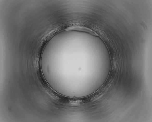 X0000112890450200909111507