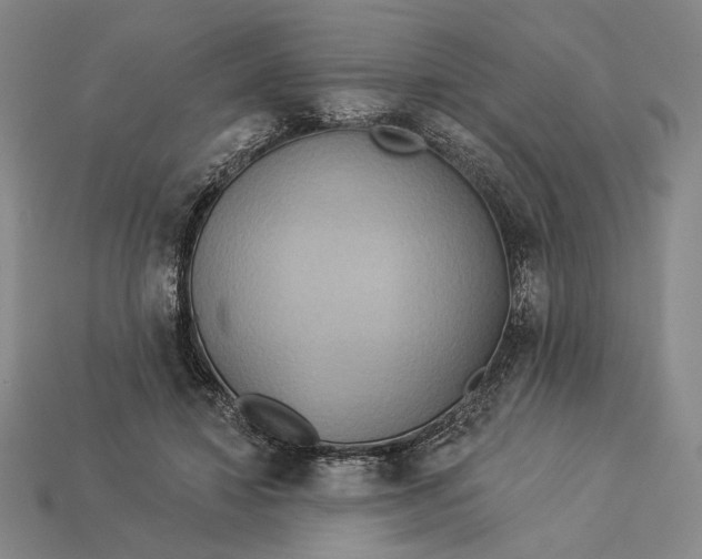 X0000112890452200909111507