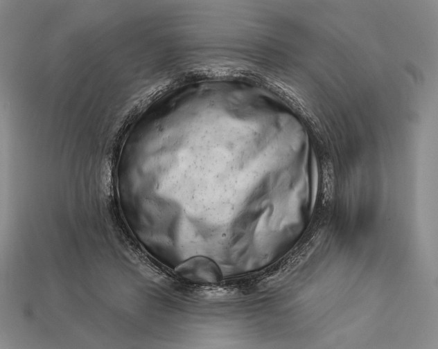 X0000112890453200909111507
