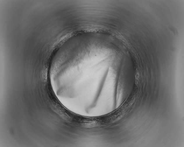 X0000112890454200909111507