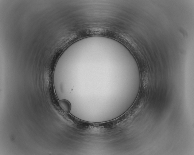 X0000112890455200909111507