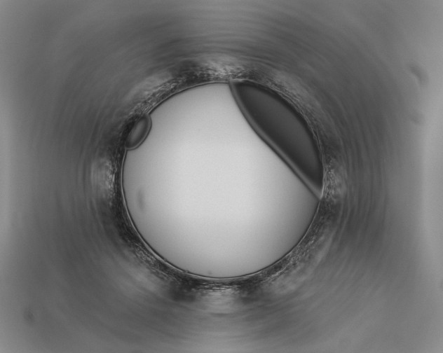 X0000112890456200909111507