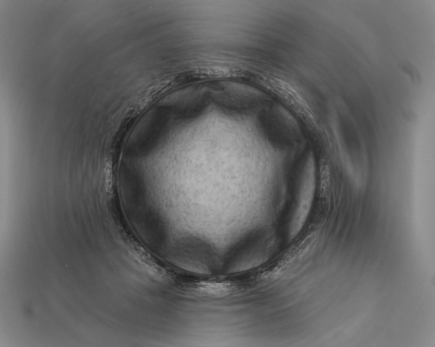 X0000112890457200909111507
