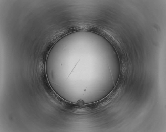 X0000112890459200909111507
