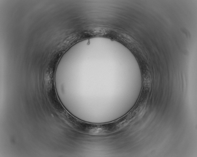 X0000112890460200909111507