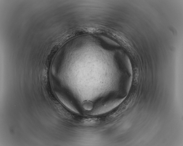 X0000112890461200909111507