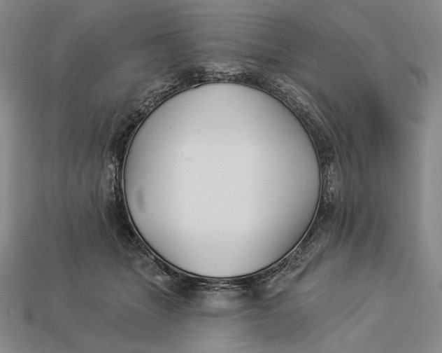 X0000112890463200909111507