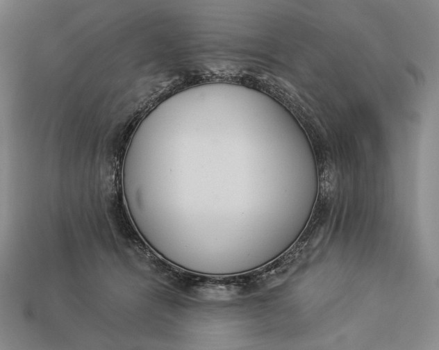 X0000112890464200909111507