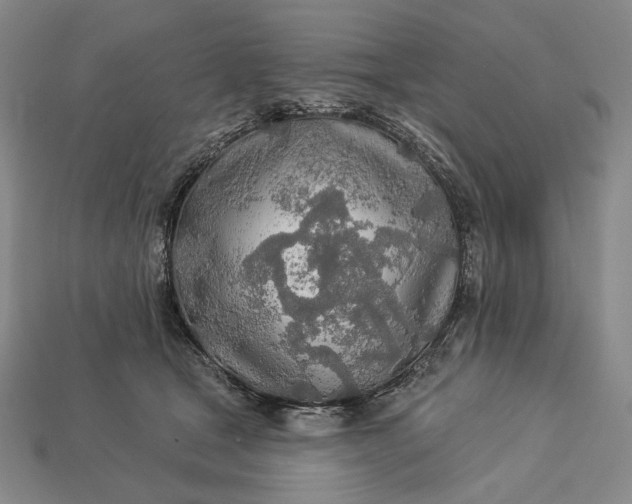 X0000112890465200909111507