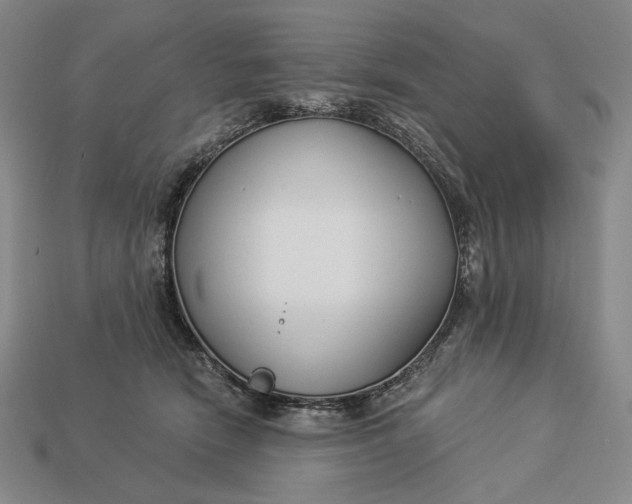 X0000112890466200909111507