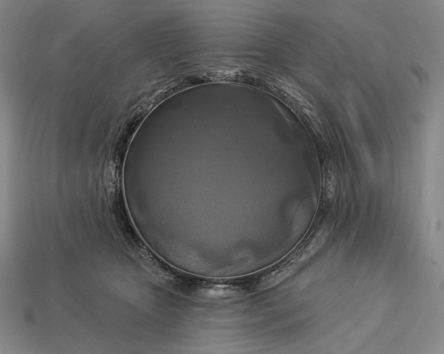X0000112890467200909111507