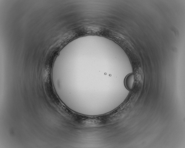 X0000112890468200909111507