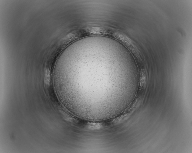 X0000112890469200909111507