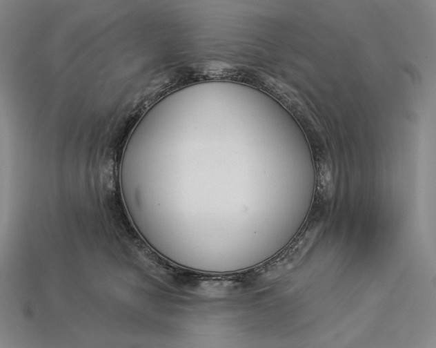 X0000112890470200909111507