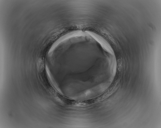 X0000112890471200909111507