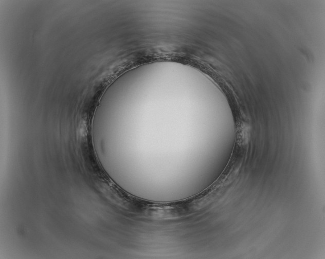 X0000112890472200909111507