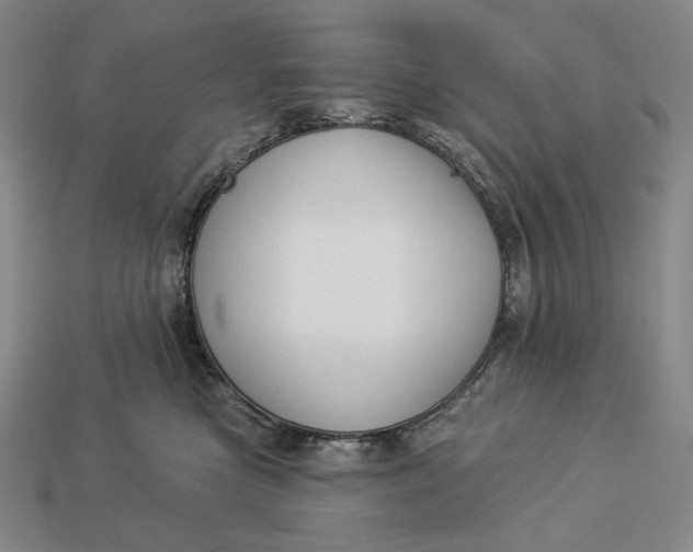 X0000112890473200909111507