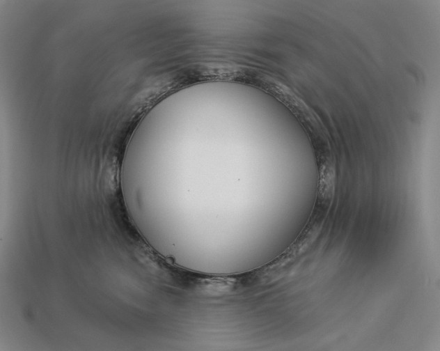 X0000112890474200909111507