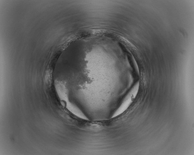 X0000112890475200909111507