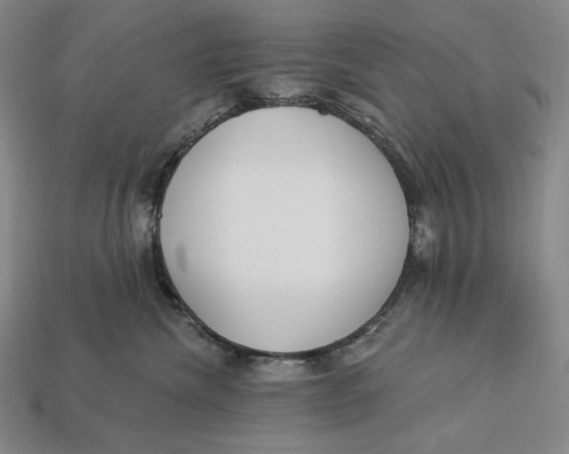 X0000112890476200909111507