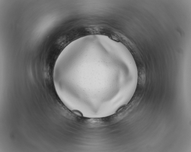 X0000112890477200909111507