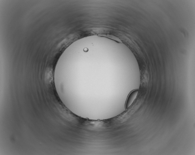 X0000112890478200909111507