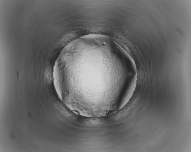 X0000112890479200909111507