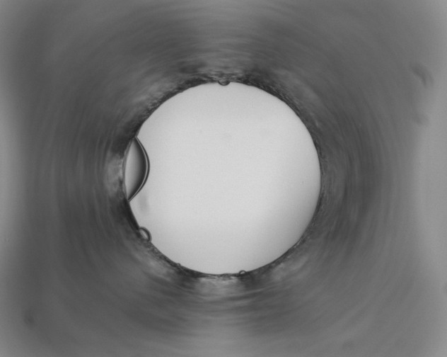 X0000112890480200909111507