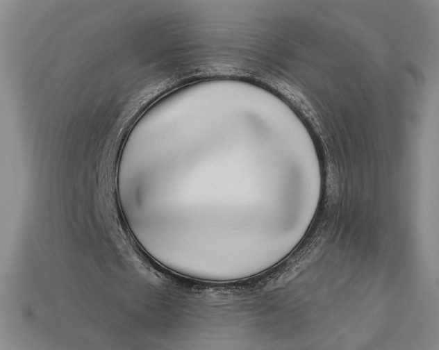 X0000112890481200909111507