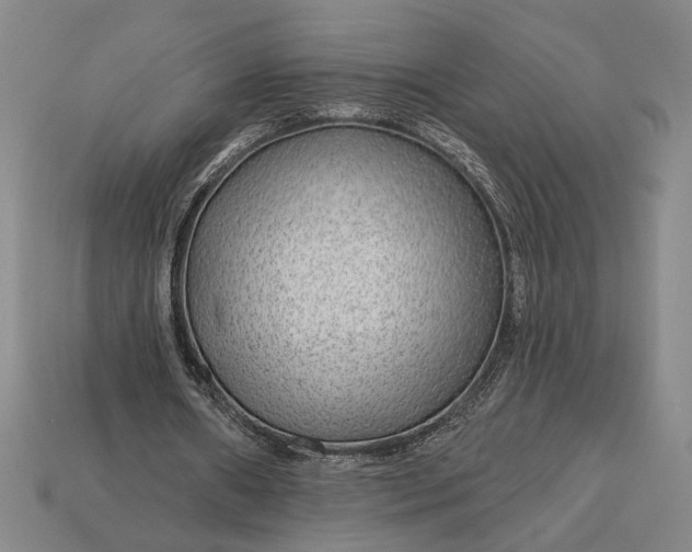 X0000112890482200909111507