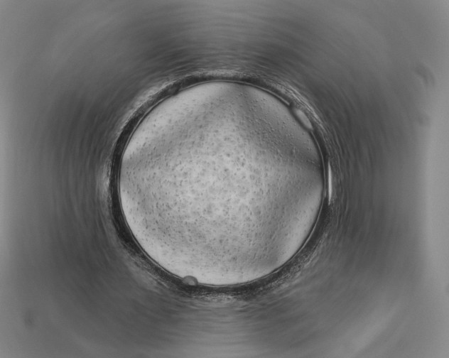 X0000112890483200909111507