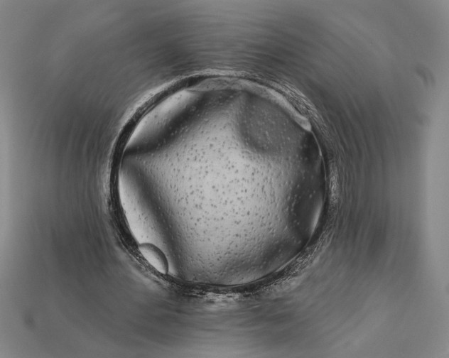 X0000112890484200909111507