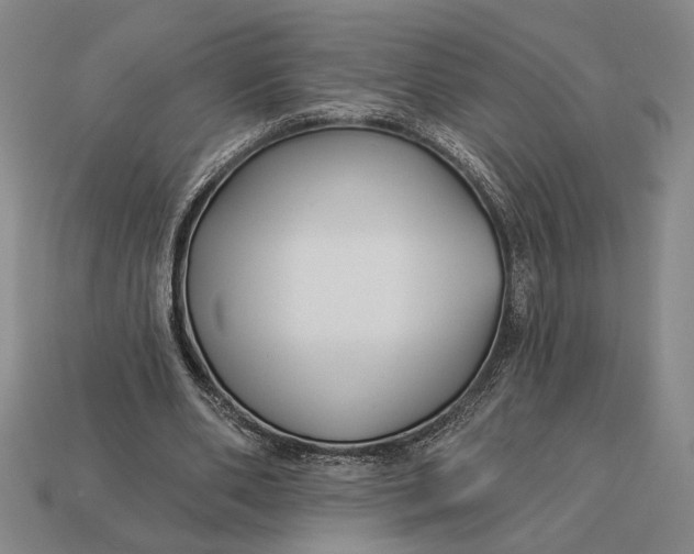 X0000112890486200909111507