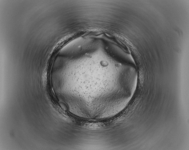 X0000112890488200909111507
