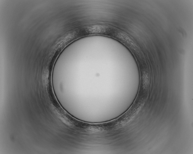 X0000112890490200909111507