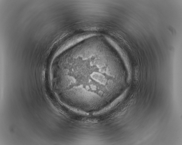 X0000112890491200909111507
