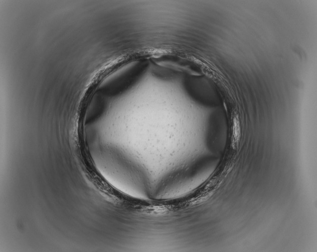 X0000112890492200909111507