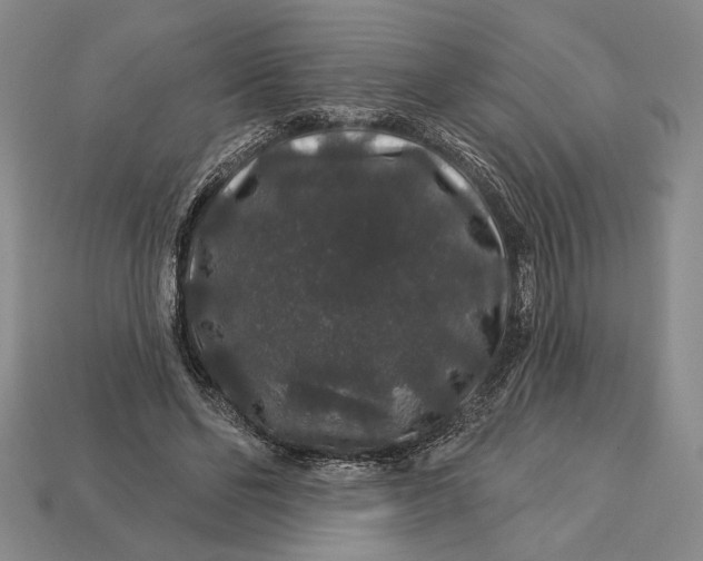 X0000112890494200909111507