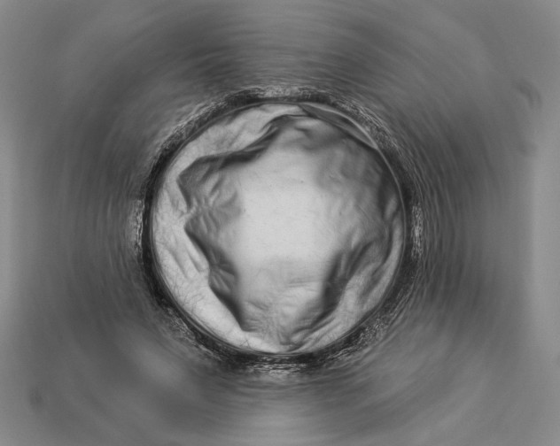 X0000112890495200909111507